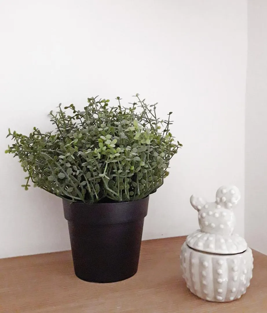 Apartment Haussmann Paris